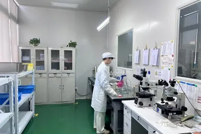 Company Profile